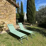 Amici *