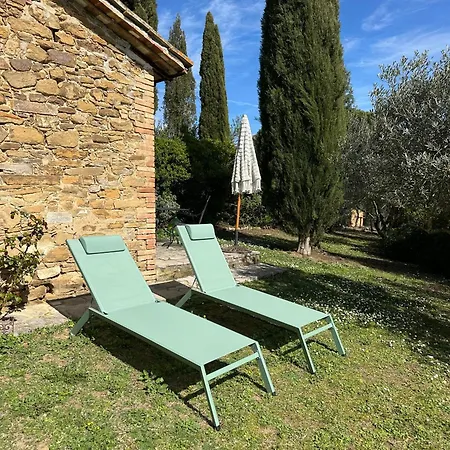 Amici *