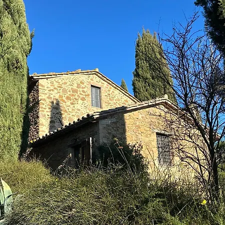 Amici * Fontignano