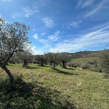 Amici Holiday home Fontignano