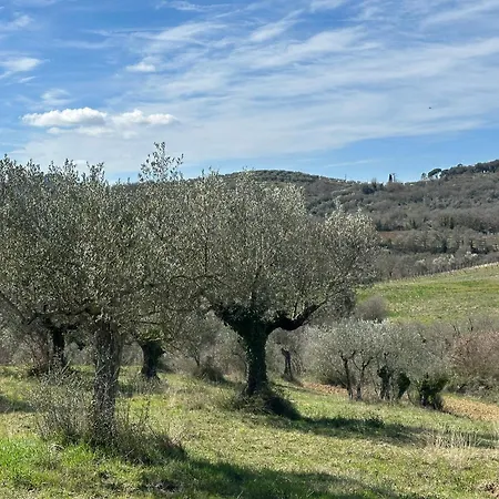 Amici Holiday home