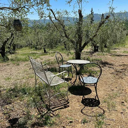 Amici Holiday home Fontignano